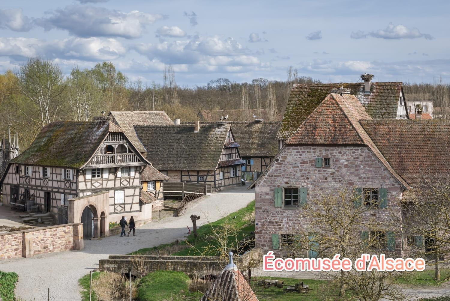 Entre Ville Et Vignes - Gite Classe 3 Etoiles Ingersheim Bagian luar foto