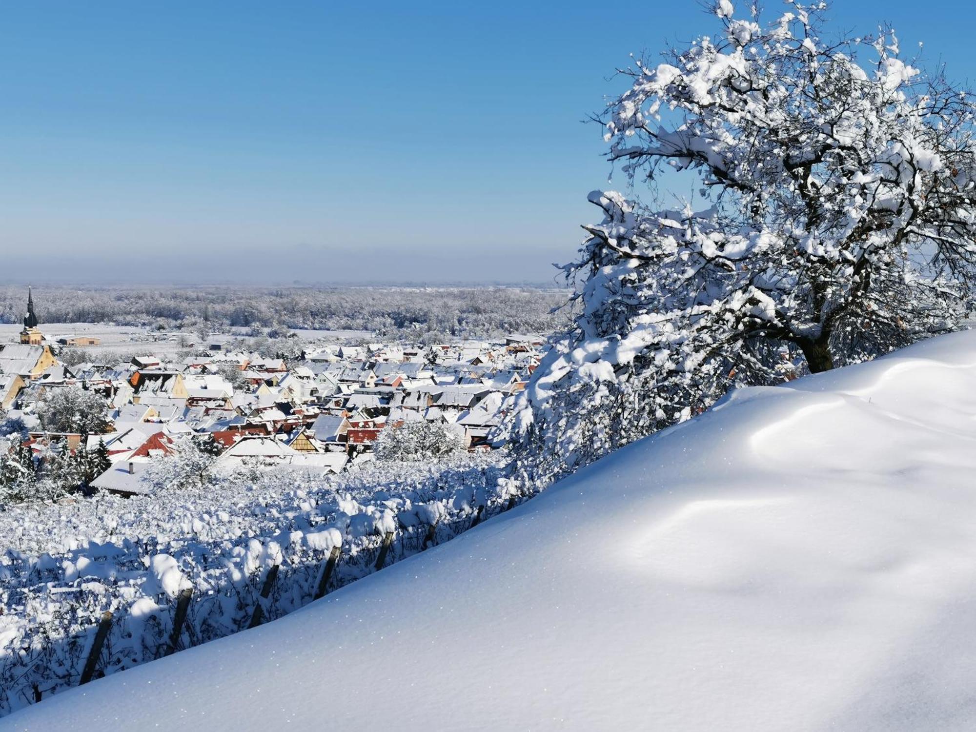 Entre Ville Et Vignes - Gite Classe 3 Etoiles Ingersheim Bagian luar foto
